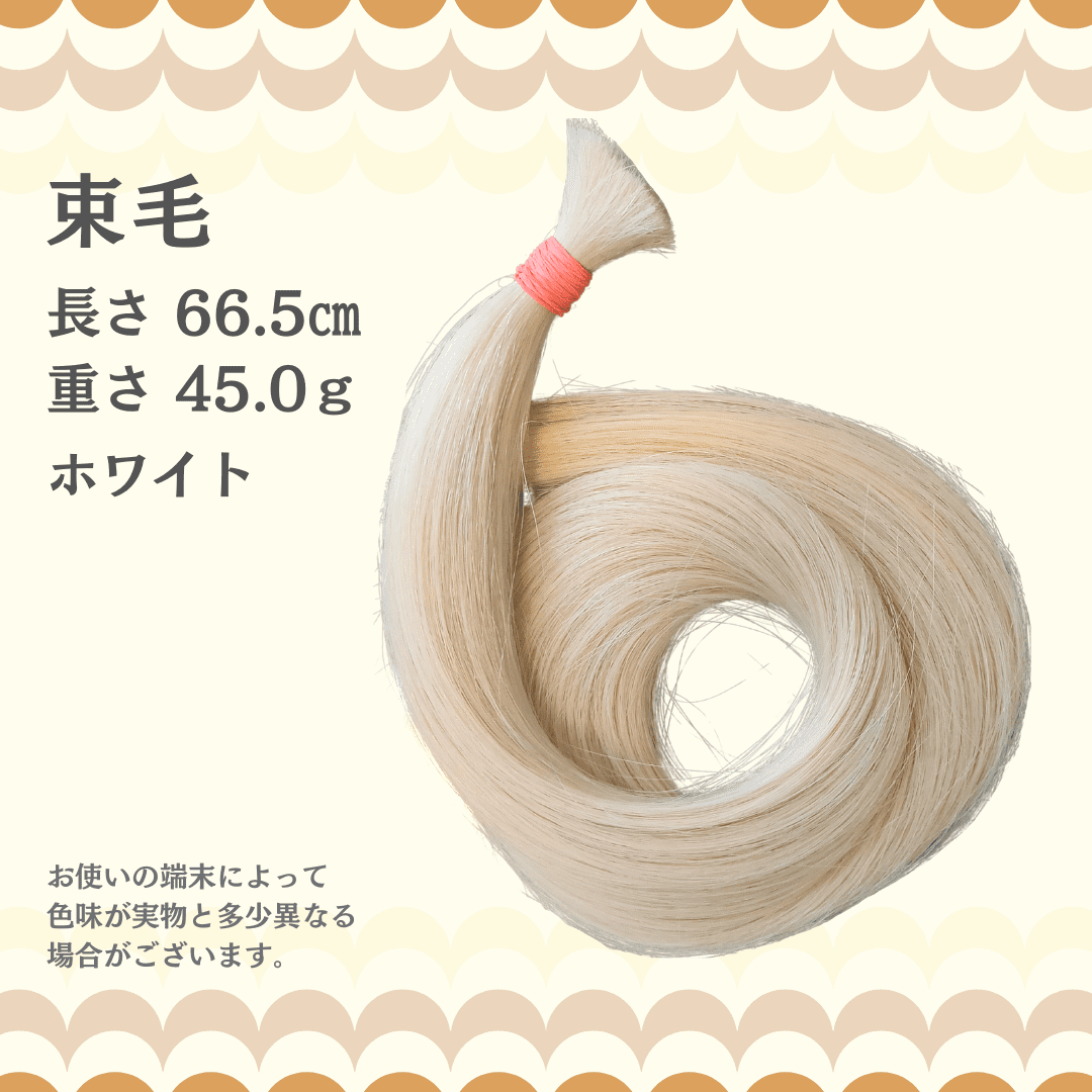 【訳アリ】束毛66.5cm ホワイト 45g